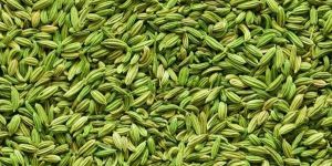 Whole Fennel Seeds