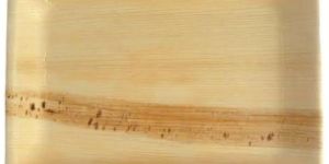 Natural Areca Leaf Plate