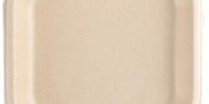 Square Sugarcane Bagasse Plate