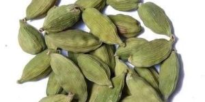 Cardamom