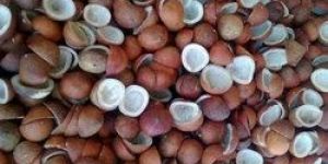 Natural Coconut Copra