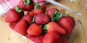 Natural Fresh Strawberry