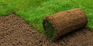 Home Lawn Grass Carpet