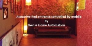 Ambiance Designing Services