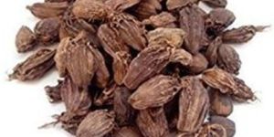 Black Cardamom