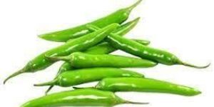 Fresh Long Green Chilli
