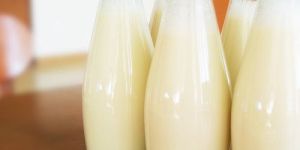 Packed Camel Milk