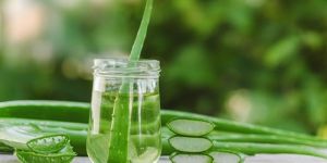 Pure Aloe Vera Juice