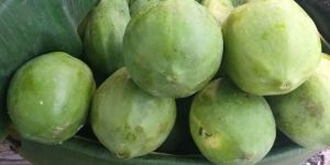 Green Papaya