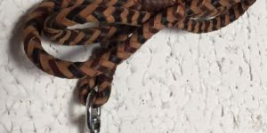 Leather Dog Leads