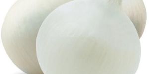 Nasik White Onion