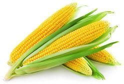 Natural Maize
