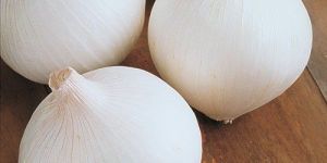 Organic White Onion
