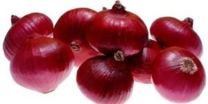 Small Red Onion