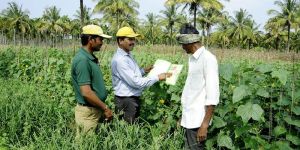 Contract Farming Services