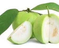 Organic Green Guava