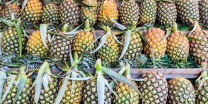 Organic Sweet Pineapple