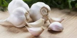 Organic White Garlic