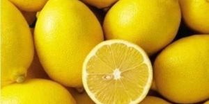 Organic Yellow Lemon