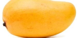 Organic Yellow Mango