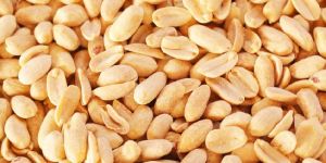 Peanut Roasted