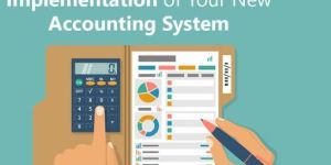 Management Accounting System Development Services