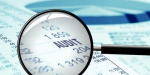 Statutory Audit Services