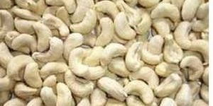 White Cashew Kernels