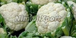 Fresh Cauliflower