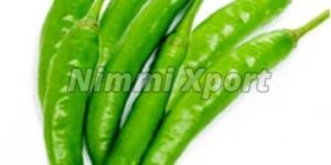 Fresh Green Chili