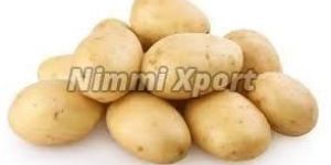 Fresh Potato
