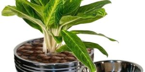 Premiere Metal Planter