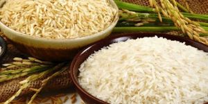 Sona Masoori Steam Rice