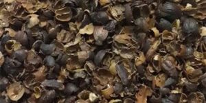 Black Coffee Husk