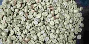 Arabica Parchment Coffee Beans