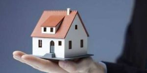 Real Estate Consultant