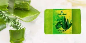 Aloemint Bathing Bar