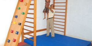 Wooden IMI-1887 Activity Fun Gym