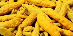 Turmeric Finger