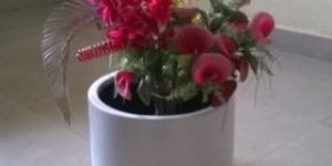 White Round FRP Planters