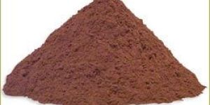 Cocoa Powder