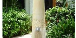 Yellow Teak Stone Water Taps
