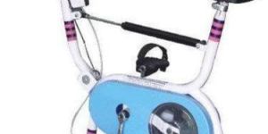 Exercycle with Rowing Arm
