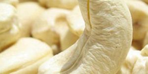 Big Size Cashew Nuts