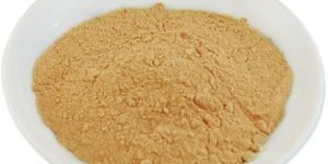 Papaya Fruit Extract Powder
