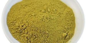 Rosemary Extract Powder