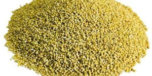 Browntop Millet Rice