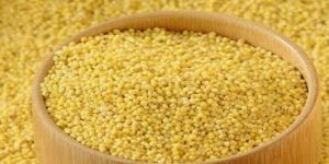 Foxtail Millet