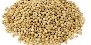 Whole White Pepper