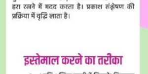 Amrit Micronutrients